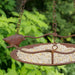 A close up image of the bronze decorative bird that is sat at the side of the plate.