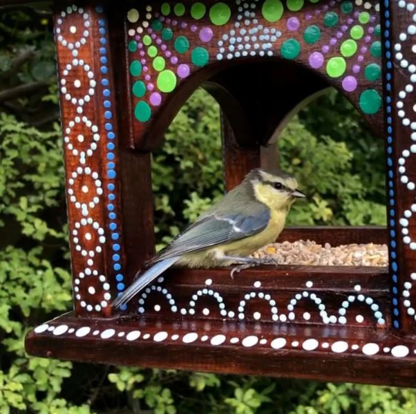 small wild bird perched on the bird house feeding table