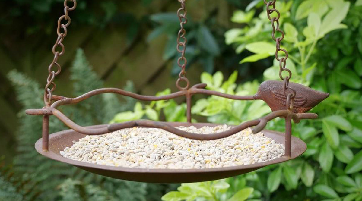 Why Are Hanging Bird Feeders Good For Feeding Birds? — Pizzazz Retail
