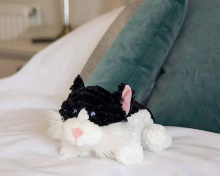 Beddy Buddies Cat Microwaveable Flaxseed Heat Pack Soft Toy
