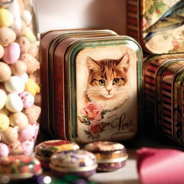 Vintage Little Kitten Small Tin Storage Box