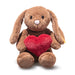 Buy Now Hoppie Bunny Brown Soft Toy With Red Love Heart plush On White Background