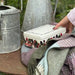 Decorative tin box with blackberry design on a wooden surface with a rustic metal watering can in the background.