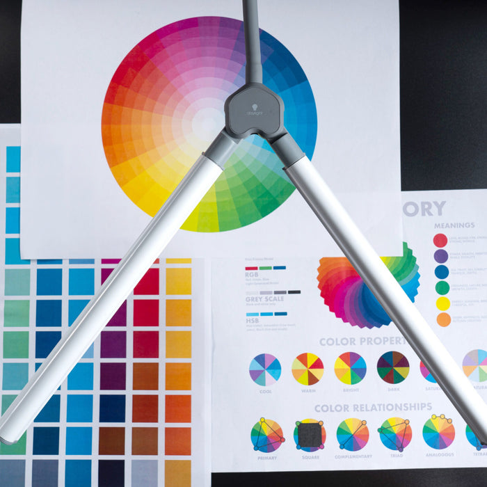 The Daylight Company DuoPro LED Flexible Anti-Glare Floor Lamp