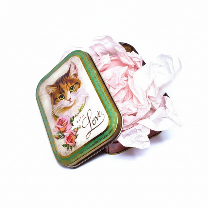 Vintage Little Kitten Small Tin Storage Box