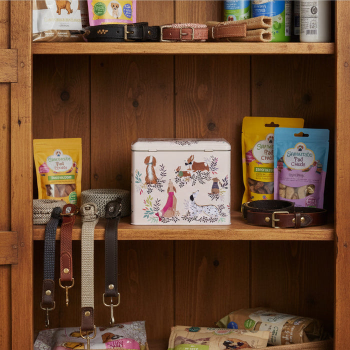 Wooden shelf with pet supplies including bags, a box, and collars.