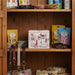Wooden shelf with pet supplies including bags, a box, and collars.