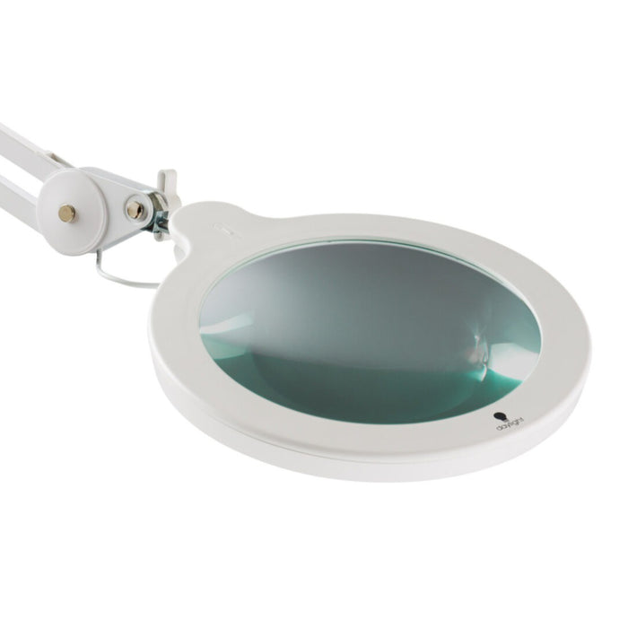 The Daylight Company Magnifying Mag XL Craft LED Light Lamp With Table Clamp