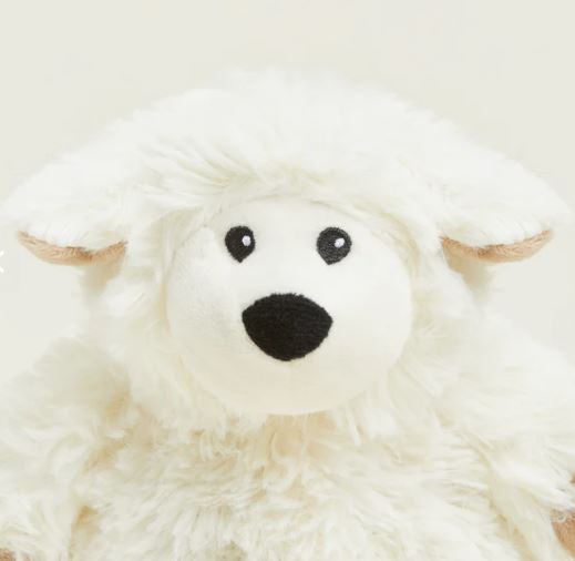 Warmies Junior 9" Microwavable & Cooling Soft Toys With Lavender Scent