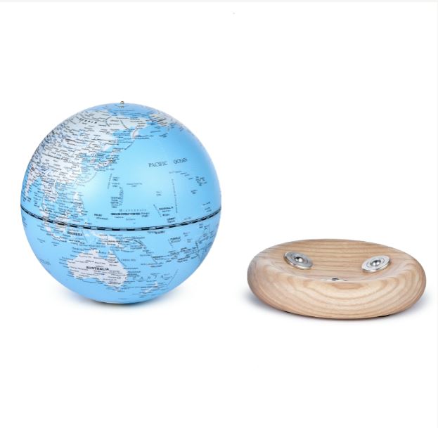 Gingko LED Atlas Lamp & Wooden Base