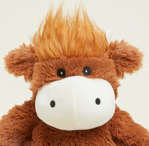 Warmies Junior 9" Microwavable & Cooling Soft Toys With Lavender Scent