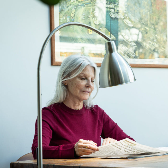 The Daylight Company Flexi-Vision 2 Floor Lamp