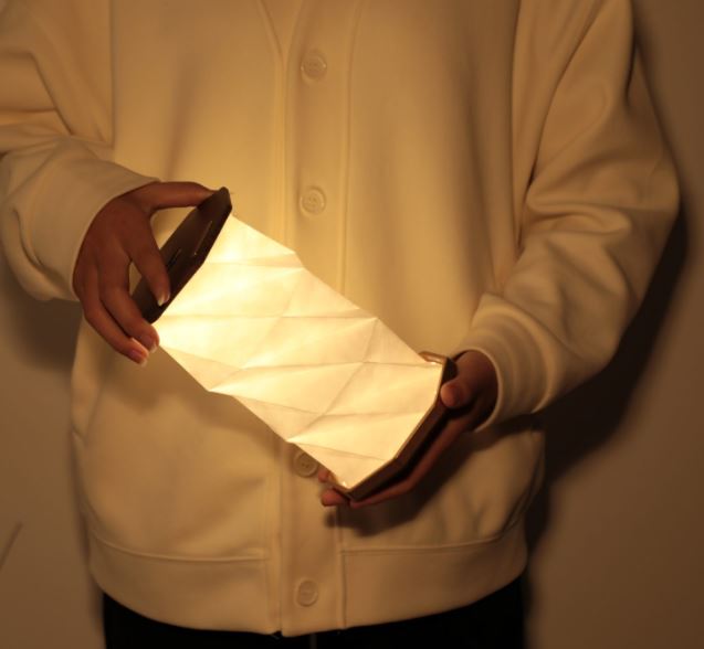 Gingko Natural Wood Twist Hexagon LED Desk Lamp