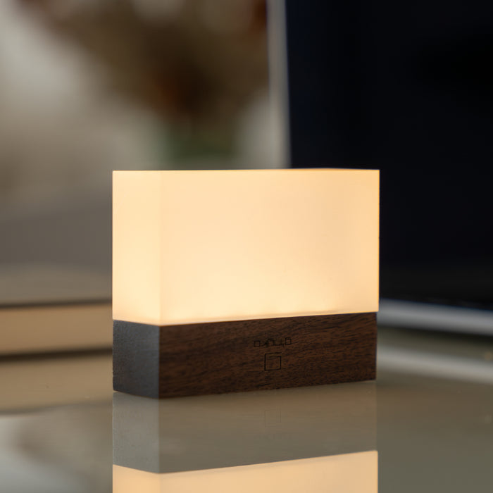 Gingko CuraCheese Night Light