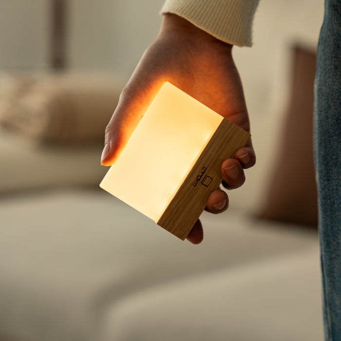 Gingko CuraCheese Night Light
