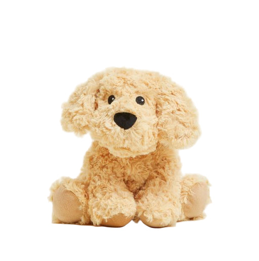 Plush toy dog on a white background