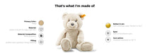 Teddy bear with material and filling information on a white background