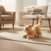 Plush toy cat on a rug in a cozy living room