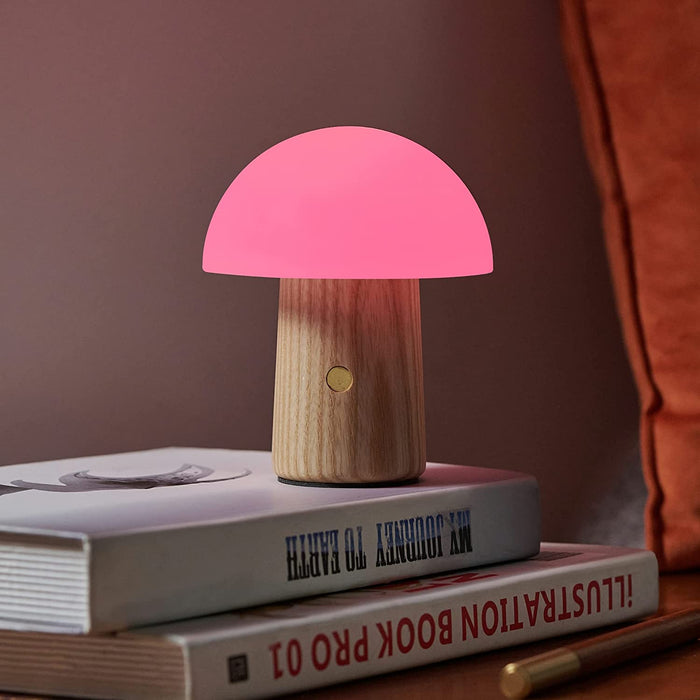 Gingko Mini Alice Mushroom RBG Colour Changing Desk Light