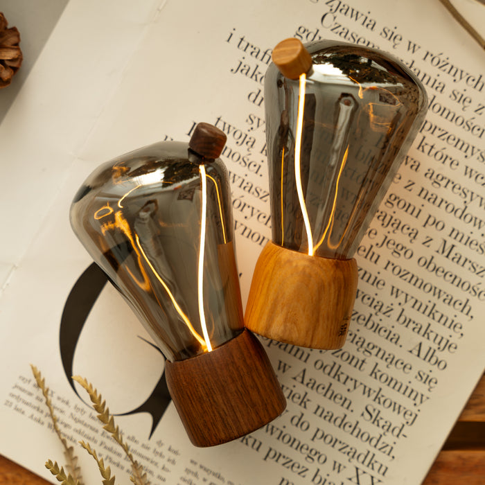Gingko Opal Drift Interactive Wooden Desk Lamp