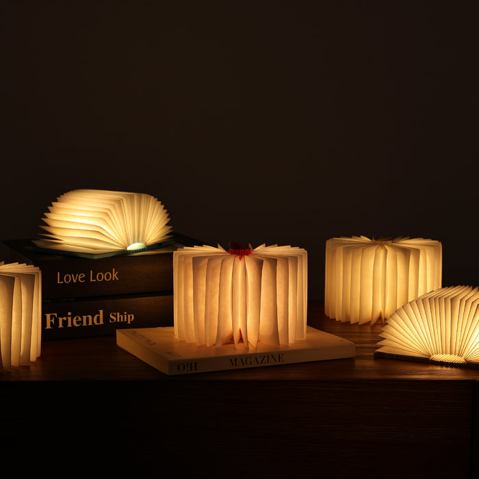 Gingko Super Mini LED Book Shape Light