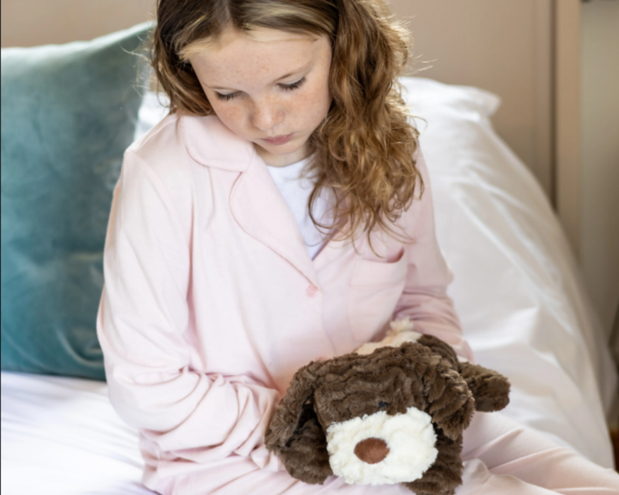 Beddy Buddies Brown Dog Microwaveable Flaxseed Heat Pack Soft Toy