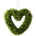 Heart-shaped green wreath on a white background