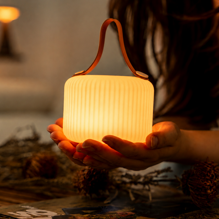 Plii By Gingko Mochi Portable LED Lamp