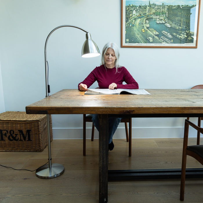 The Daylight Company FlexiVision 2 Floor Lamp