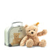 Teddy bear with a suitcase on a white background