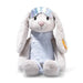 Plush toy rabbit with a silver tiara on a white background