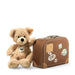 Teddy bear with a suitcase on a white background