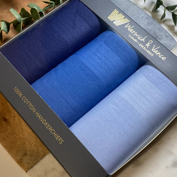 Warwick & Vance Men's 100% Cotton Blue Plain & Satin Edge Handkerchiefs