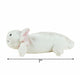 White plush toy with pink bow on a white background