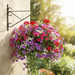 Colorful hanging flower basket with red, purple, and pink flowers against a stone wall.