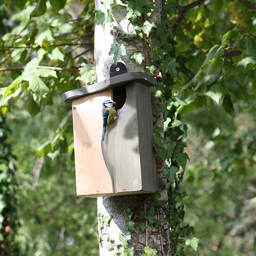Small wooden curve designed bird box and nesting shelter secured to a tree. 