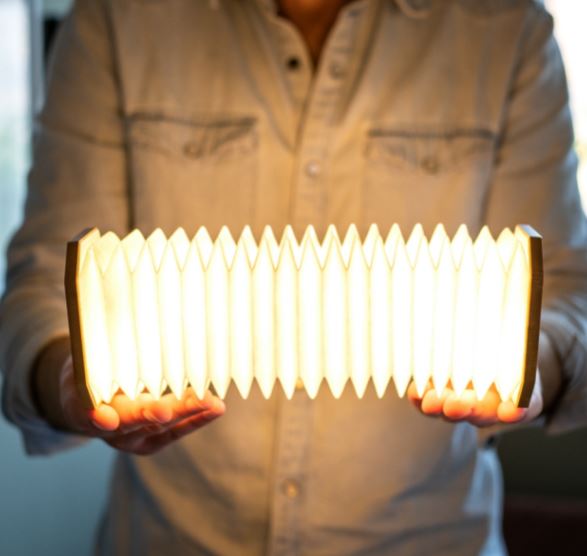 man holding an illuminated Gingko smart accordion lamp