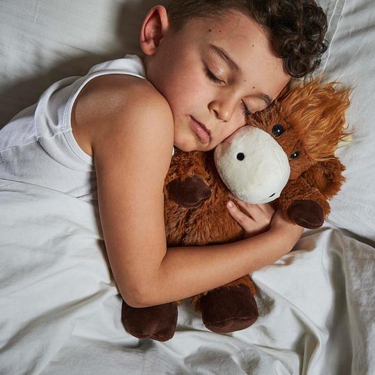 young boy holding highland cow toy