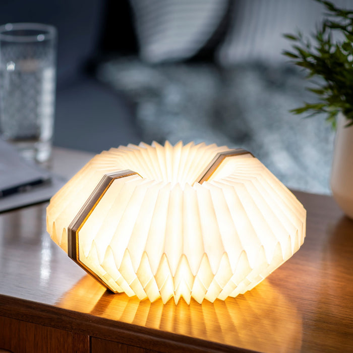 two gingko accordion lights put together to create a bespoke light
