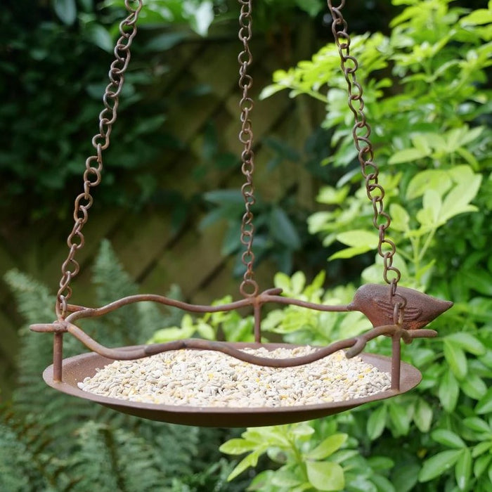 A picture of the Bronze bird feeder with birds seed on the plate hanging from a tree in a garden. The Feeder has a decorative bronze bird sat at the side of the plate. 