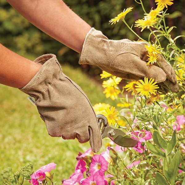 Olive green leather gardening gloves being used by a women cutting flowers in a flower bed. 