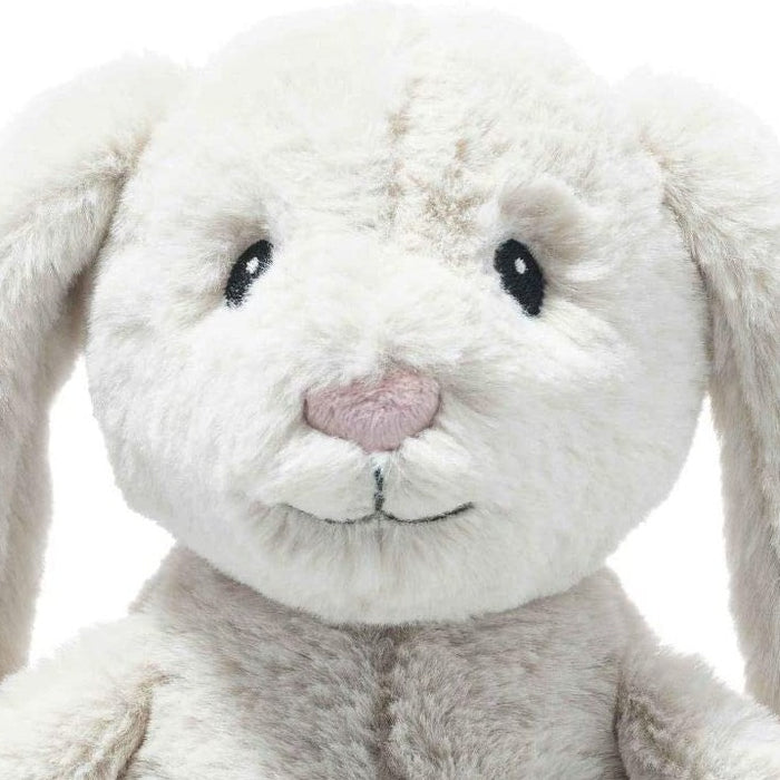 A close up of Hoppie the Bunny rabbits face