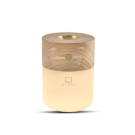 gingko white ash effect smart diffuser